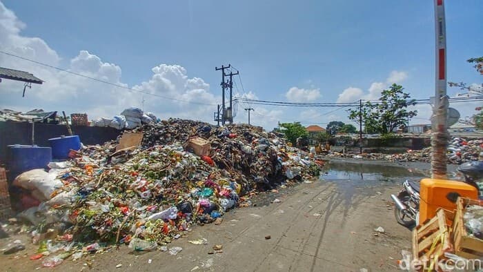 Increase of organic waste in landfills